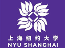 上海纽约大学